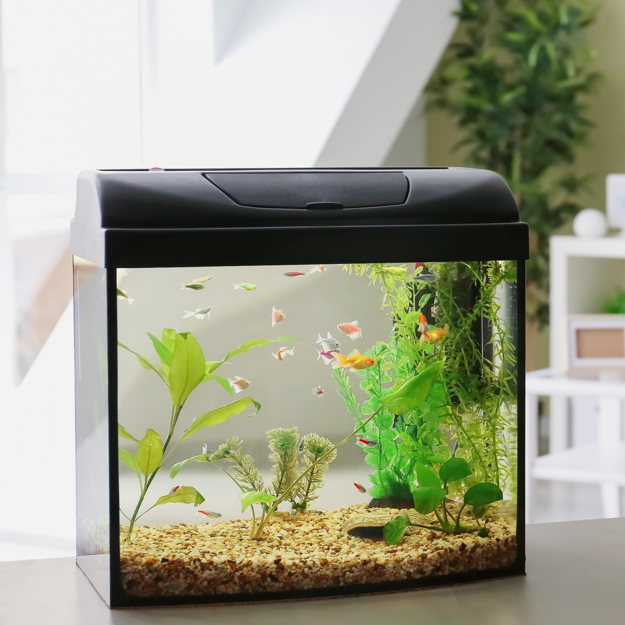 Grava de acuario de 10 libras, grava de pecera de 1 a 2 mm, grava y sustrato premium para acuarios, tanques de peces y terrarios