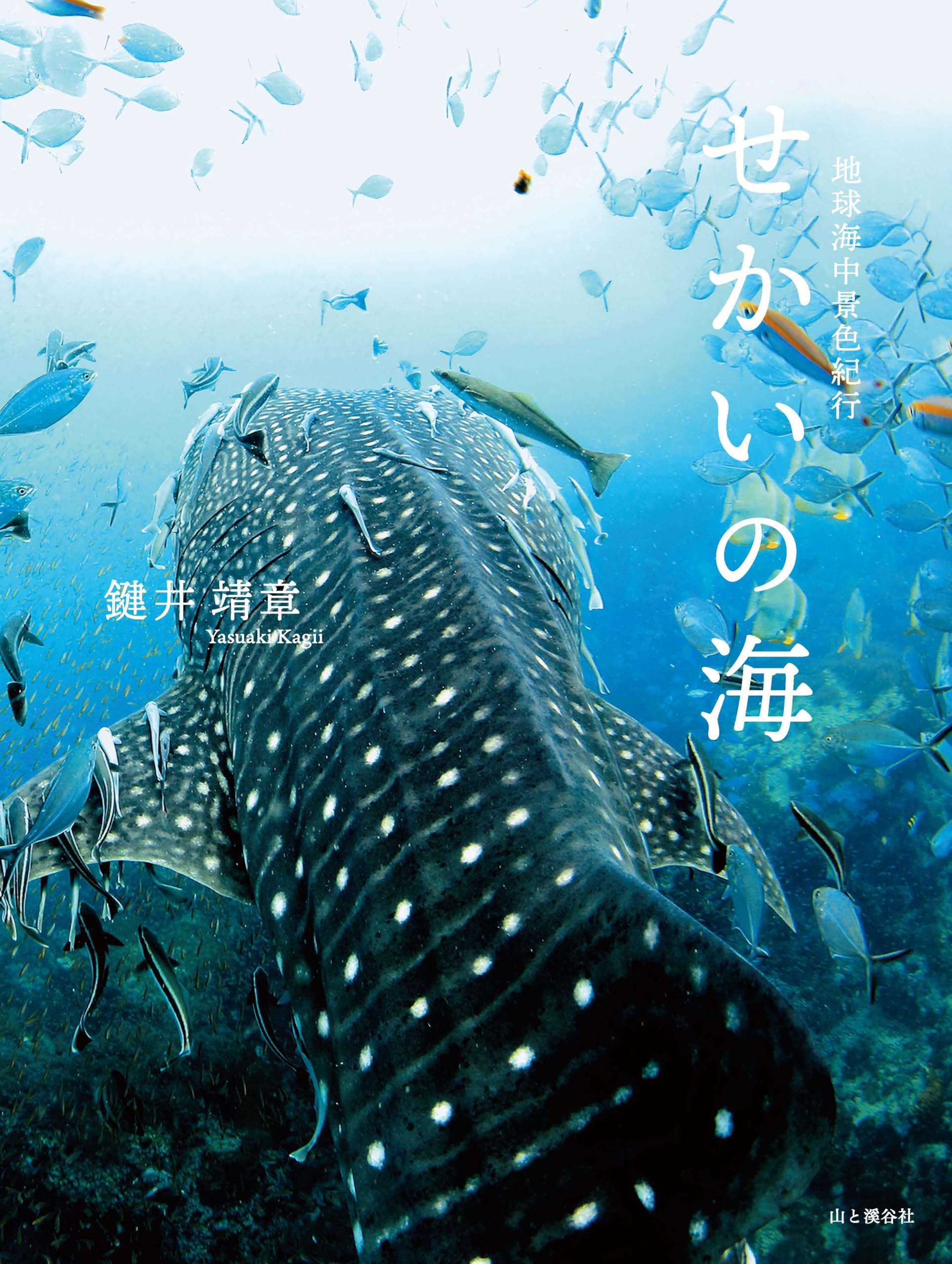 せかいの海 地球海中景色紀行 | 鍵井 靖章 |本 | 通販 | Amazon