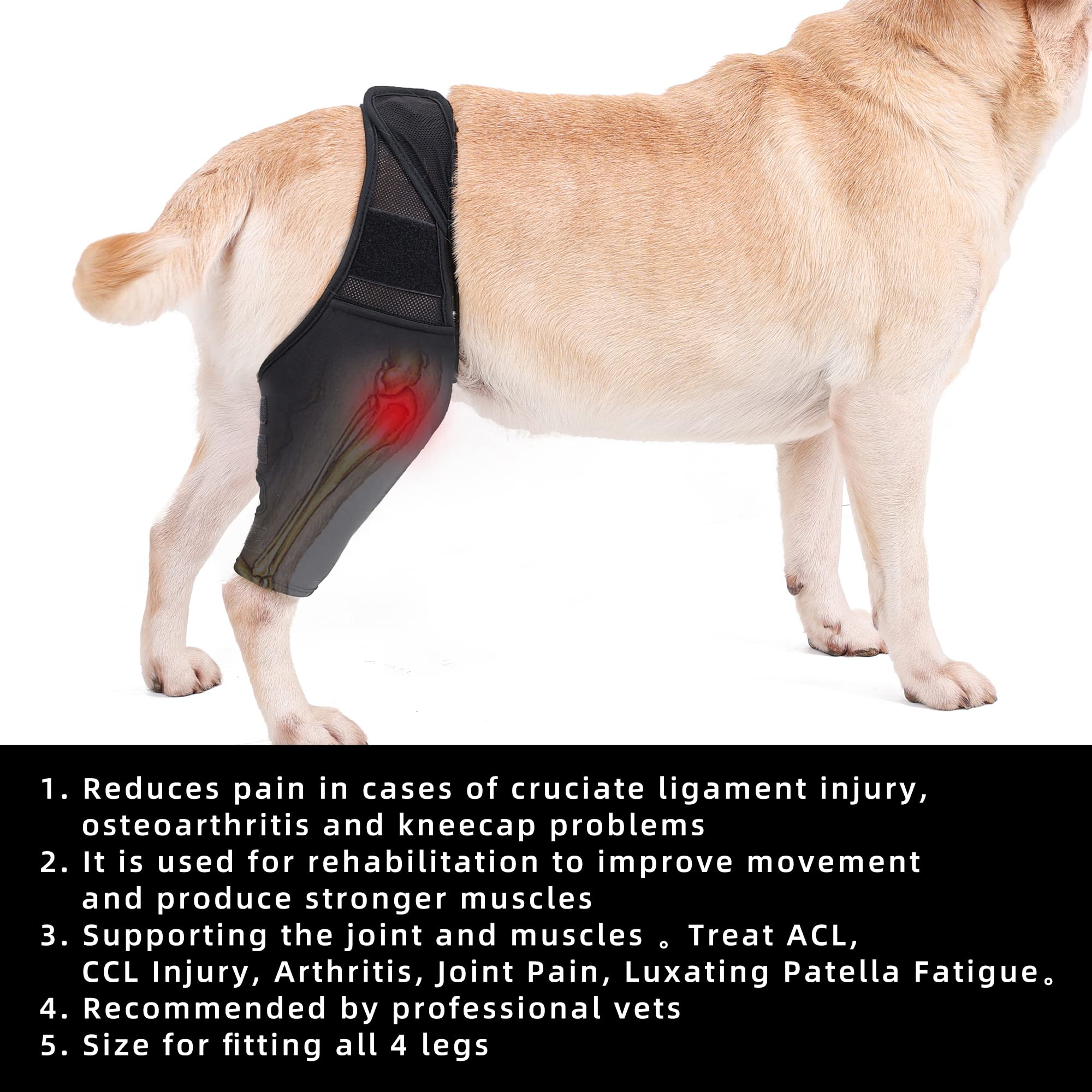 Hund Leckschutz Op Body Mit Beinen Liegeschwielen - Produktbild-Vorschau 2