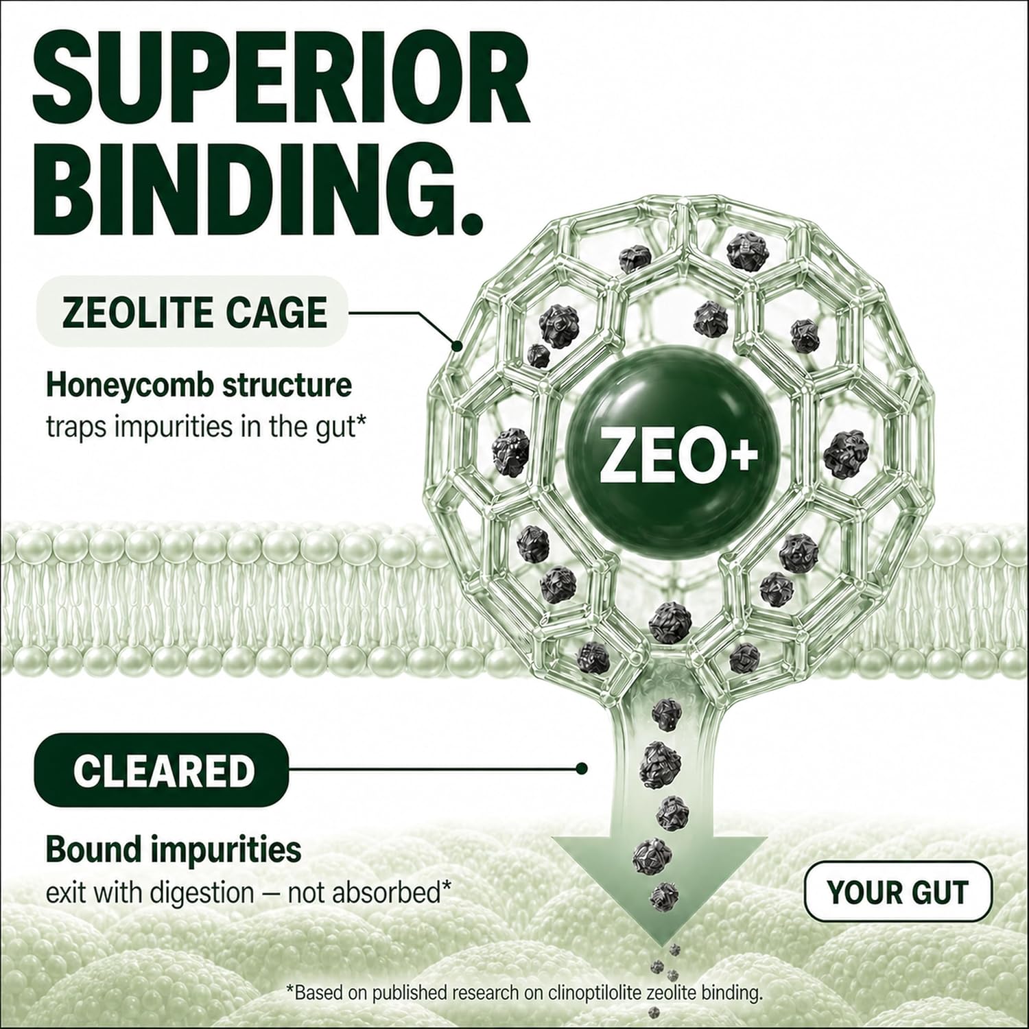 Zeolite Detox Binder, 8-in-1 Clinoptilolite & Activated Charcoal, 60ct | Natural Detoxification Pathways, Liver Health & Digestive Support: Milk Thistle & NAC thumbnail