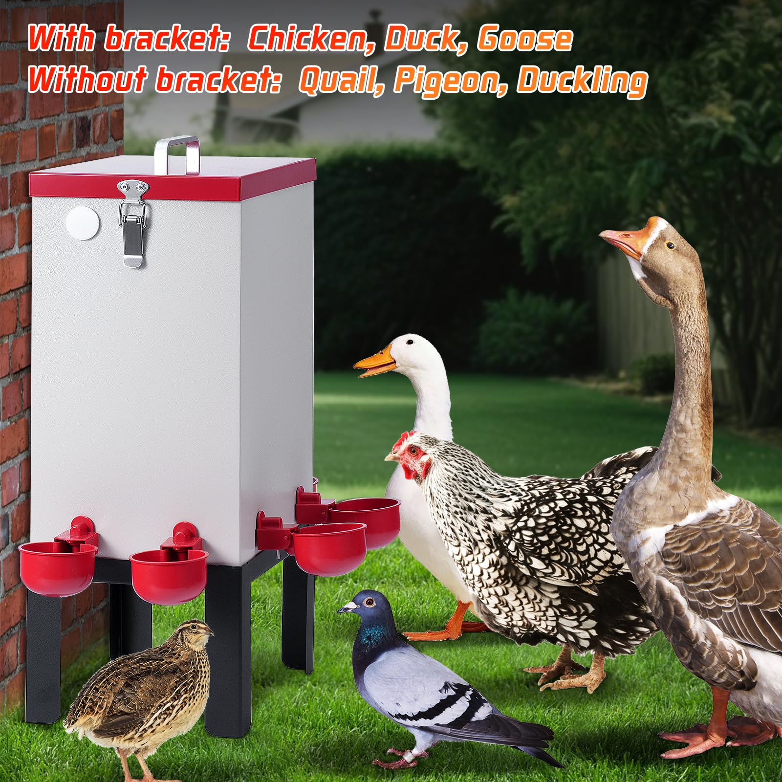 Abbeveratoio Automatico per Polli, Annaffiatoio per Pollame in Acciaio Inox da 11 L con Valvola a Galleggiante, Tazze D'acqua, Supporto Inferiore e Tubo Flessibile, Abbeveratoio per Anatre Quaglia Oca
