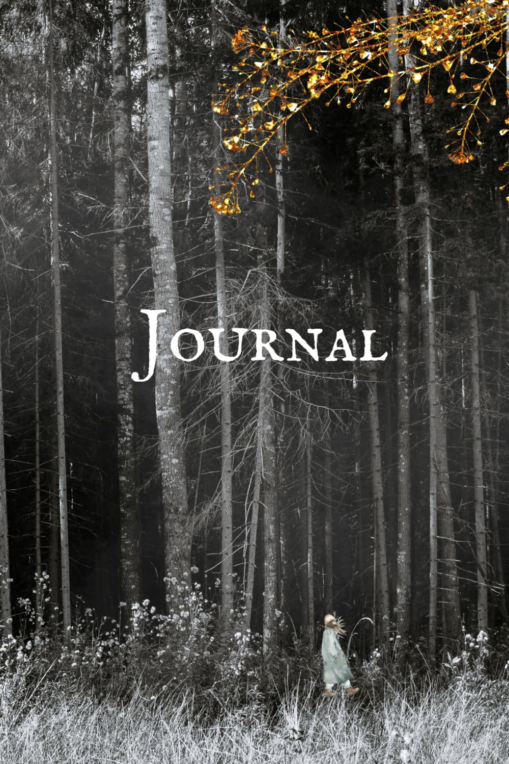 Journal