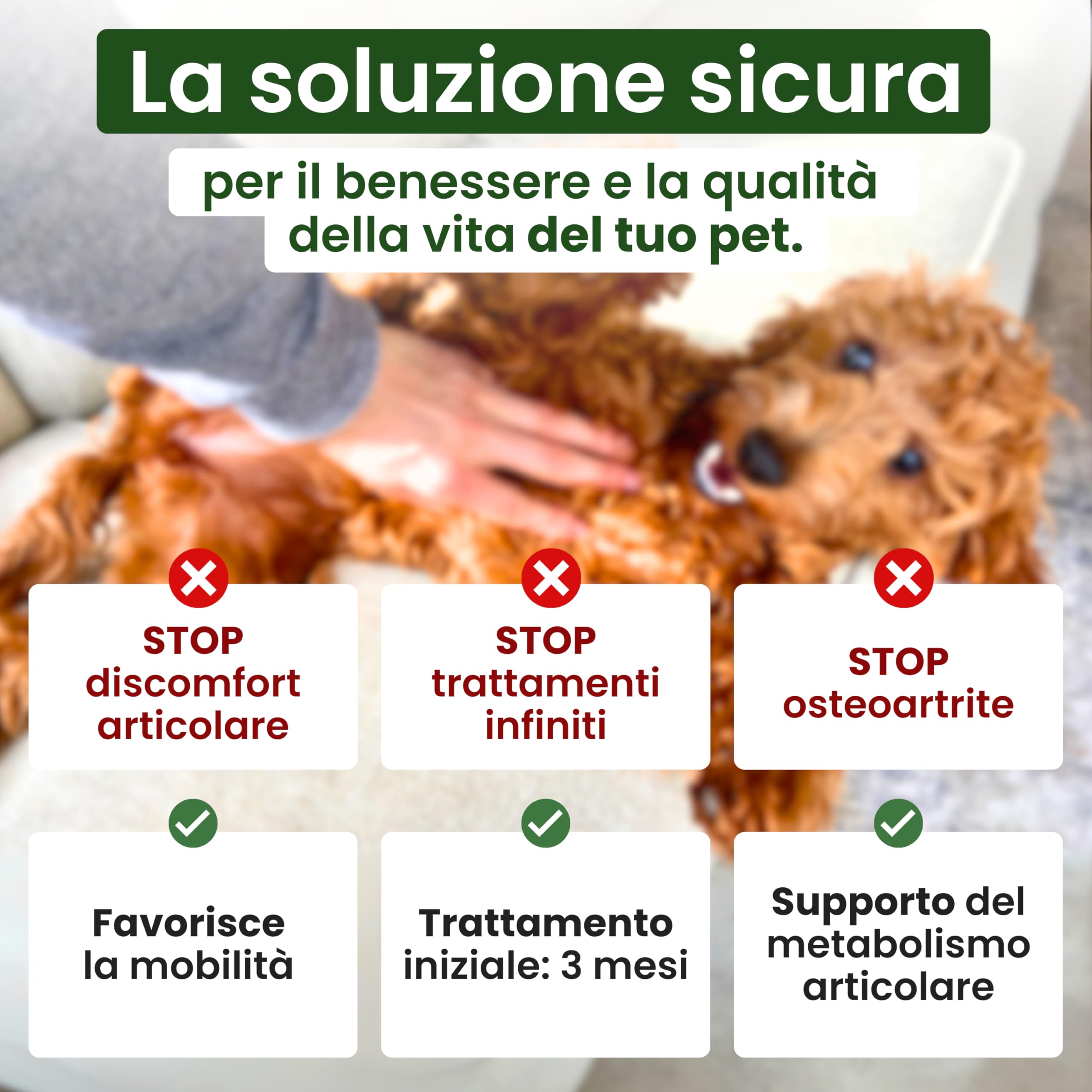 Trebifarma Asudyn per Cani - Supporto Naturale per Articolazioni e Mobilità - Con Boswellia, Curcuma, Artiglio del Diavolo, Omega 3 e Vitamine - 60 Compresse Appetibili