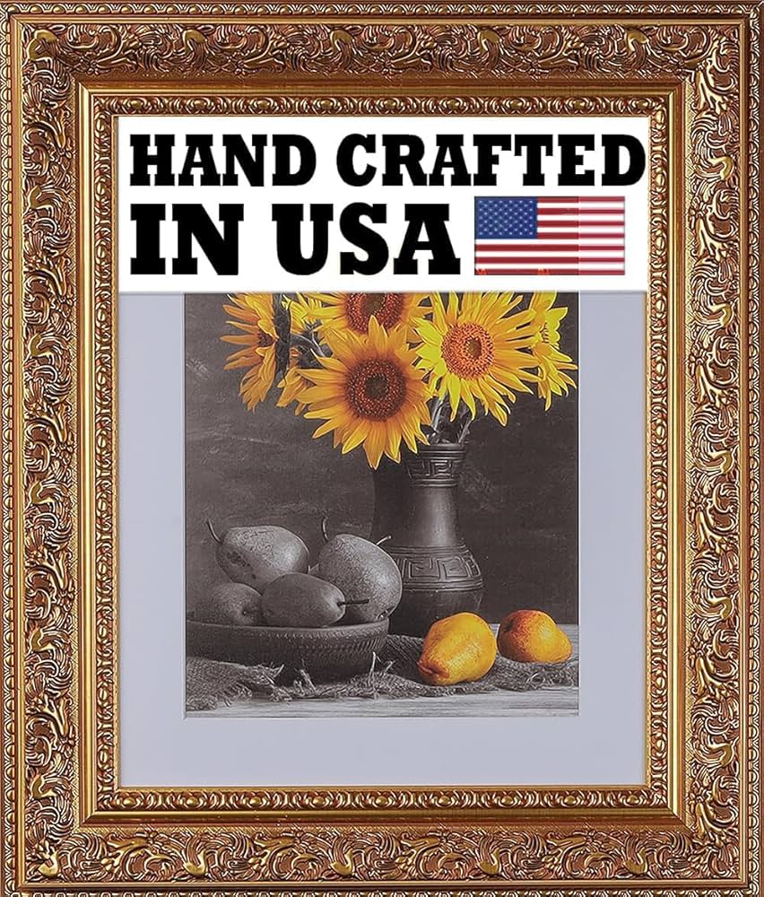 Amazon.com - 20 x 60 Frame 3-1/2