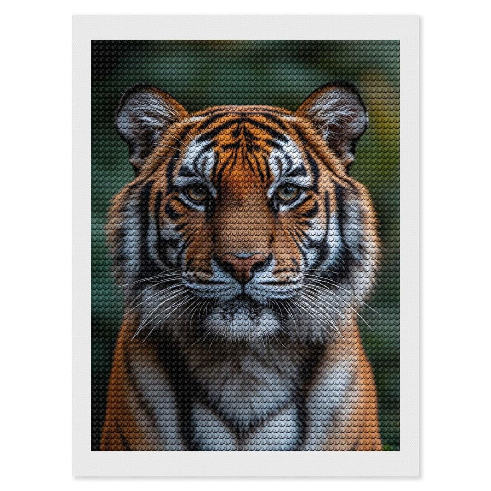 Junmoney Majestic Tiger Portrait(3) Diamond Painting Canvas Set 12"x16", for Beginners, Complete Accessories, Christmas Gift, Modern Decor