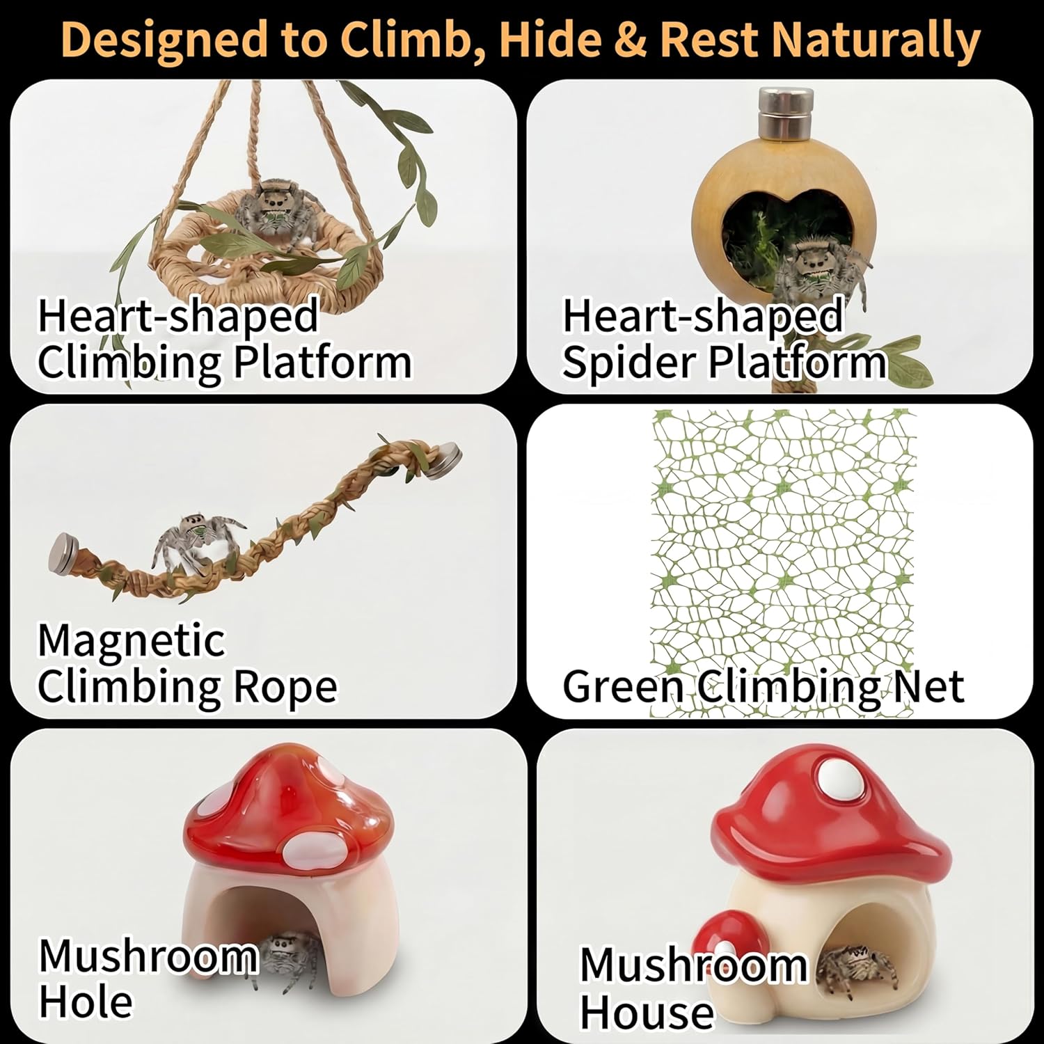 Jumping Spider Enclosure Kit, Pre-Assembled Acrylic Spider Terrarium with Magnetic Door, 19PCS Accessories, Starter Habitat for Jumping Spiders 4.8 x 4.8 x 9.25 Inches