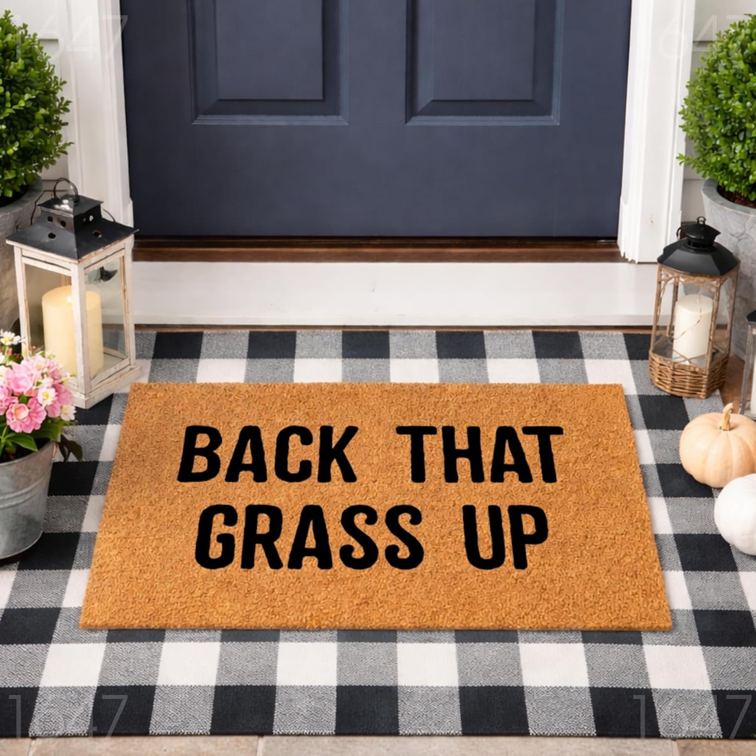 Back That Grass Up Doormat, Funny Welcome Mat, Front Porch Entry Rug, Housewarming Gift, New Home Closing Gift 1647 (16x24 inches) 1647