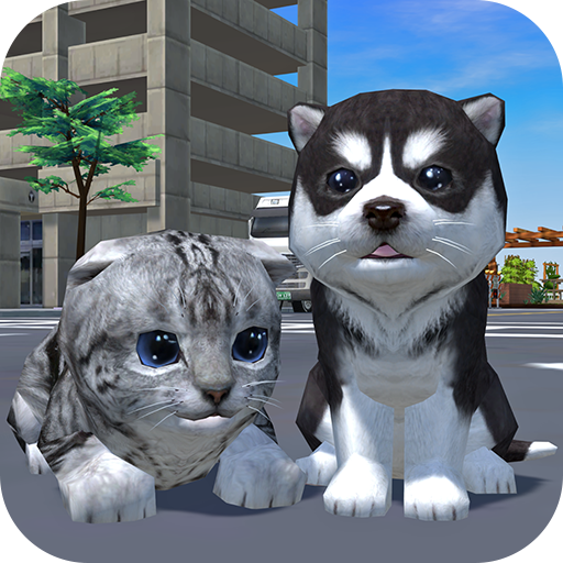 How to Get Toys in Cats are Cute App: Ultimate Guide to Winning