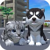 Cute Pocket Cat And Puppy 3D
