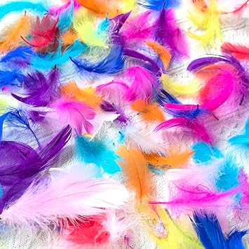 Feather Happy Birthday Confetti,200pcs Feather Natural Feathers Party Decorations for Crafting Kindergarten DIY Crafts, Wedding, Family Party Decorations Dream Catcher Supplies deep