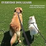 VIVAGLORY Dog Leash Dailyx Pet Leash with Soft Padded Handle for Training & Walking, Heavy Duty & Double Layer Nylon for Pet Puppy, 4ft x 1in, Grey