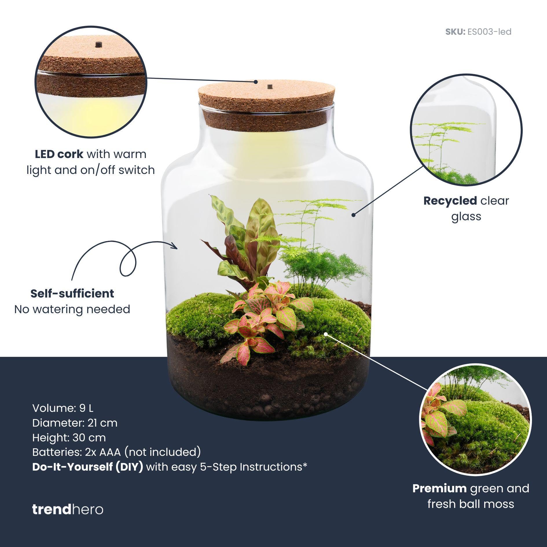 Pflanzen Terrarium aus Glas, Deko für Büro, Milky, Ø 21x30 cm Set mit LED