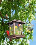 DesGully Solar Bird Feeders pour l'extérieur - 2.5 LBs Métal sauvage Grand & Petit mangeur d'oiseaux pour la suspension extérieure, idées cadeaux pour les graines de cour de jardin d'Avian Enthusiast (Proof-Chew, résistance aux intempéries)