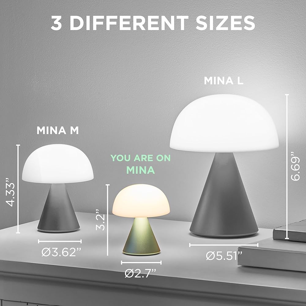 ミニオン　LAMP lh65o1-00.jpg?optimize=medium&