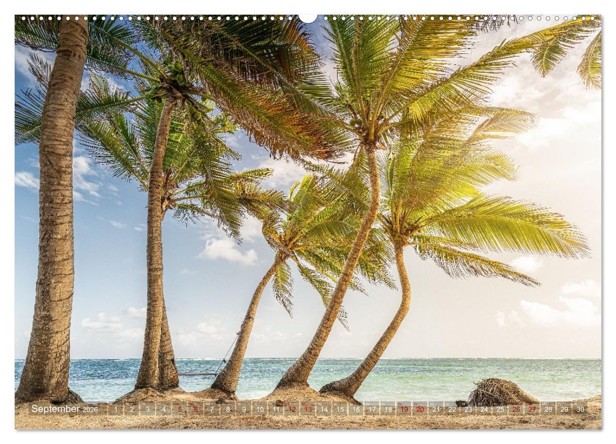 Karibik - Traumstrände (Wandkalender 2026 DIN A2 quer), CALVENDO Monatskalender: Sonne, Meer und karibische Traumstrände (CALVENDO Natur)