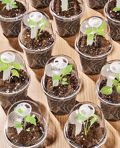 Vista 13 de homenote Macetas transparentes para vivero, maceta de 3/4/5 pulgadas para plantar plántulas de plástico con agujeros de drenaje, flor de iniciación