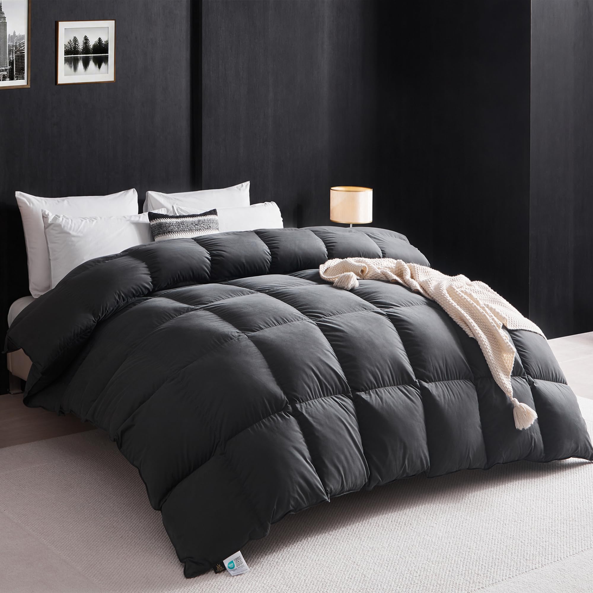 L LOVSOUL Premium Goose Down Comforter Twin Grey