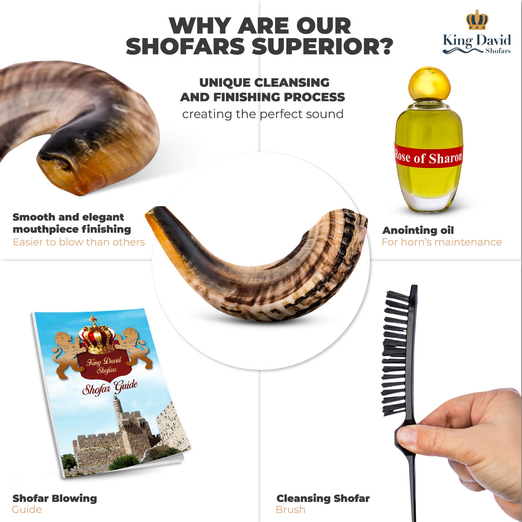 Buy Ram Horns Shofar from Israel, Shofar Horn from Israel, Viking Horn