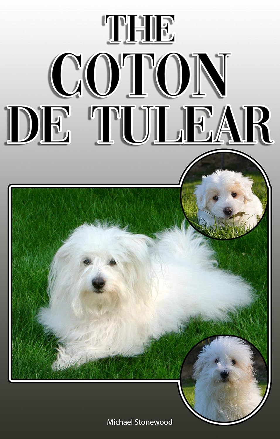 The Coton de Tulear A Complete and Comprehensive Owners Guide to Buying, Owning