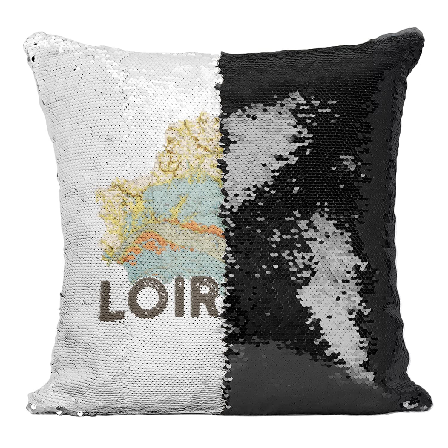 Coussin Paillettes Loiret 45 pour sublimer votre canapé de salon moderne