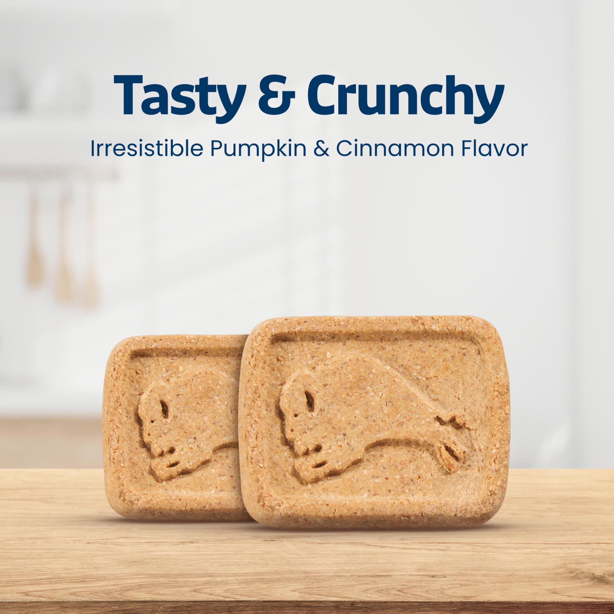 HEALTH BARS - PUMPKIN & CINNAMON
