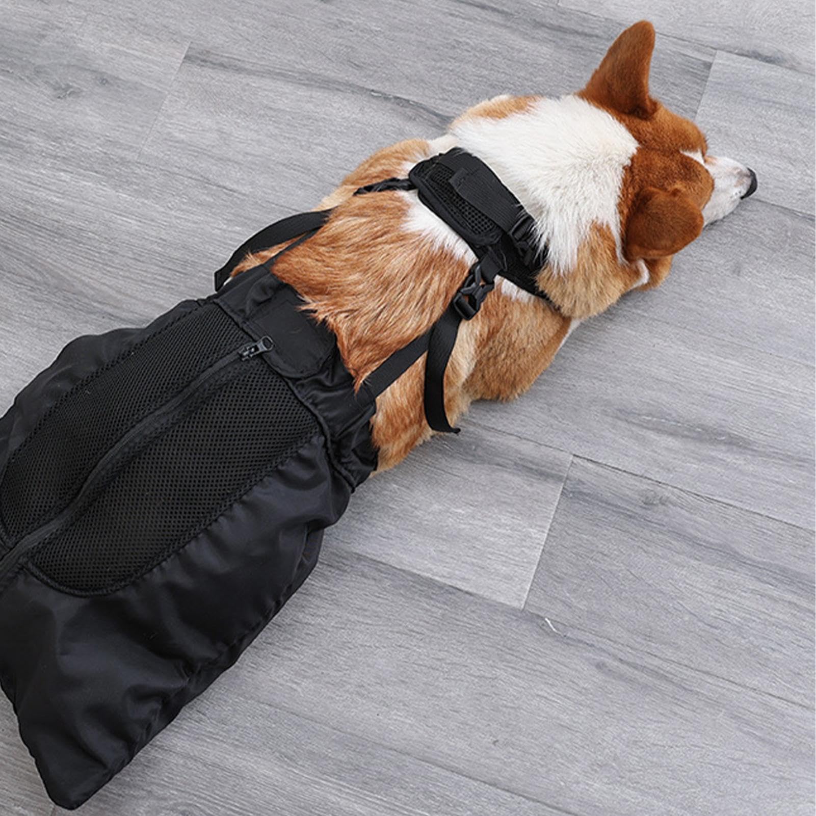 Borsa per Cani, Borsa per Recupero Alternativo della Sedia a rotelle, per Gambe Posteriori e Posteriori, Traspirante, Regolabile, Protettiva, per Proprietari di Animali Domestici, Cani feriti