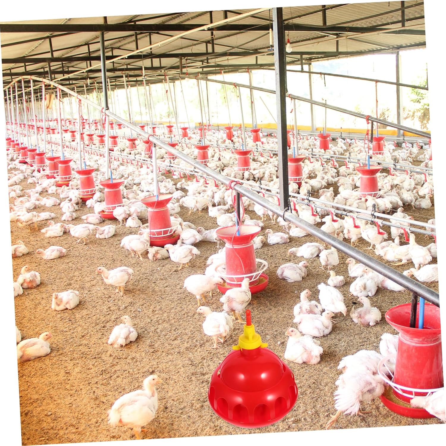 Automatic Waterer for Chickens Heavy Duty Chicken Coop Water Feeder Cups Safe Easy to Use Poultry Drinking System for Home Farm