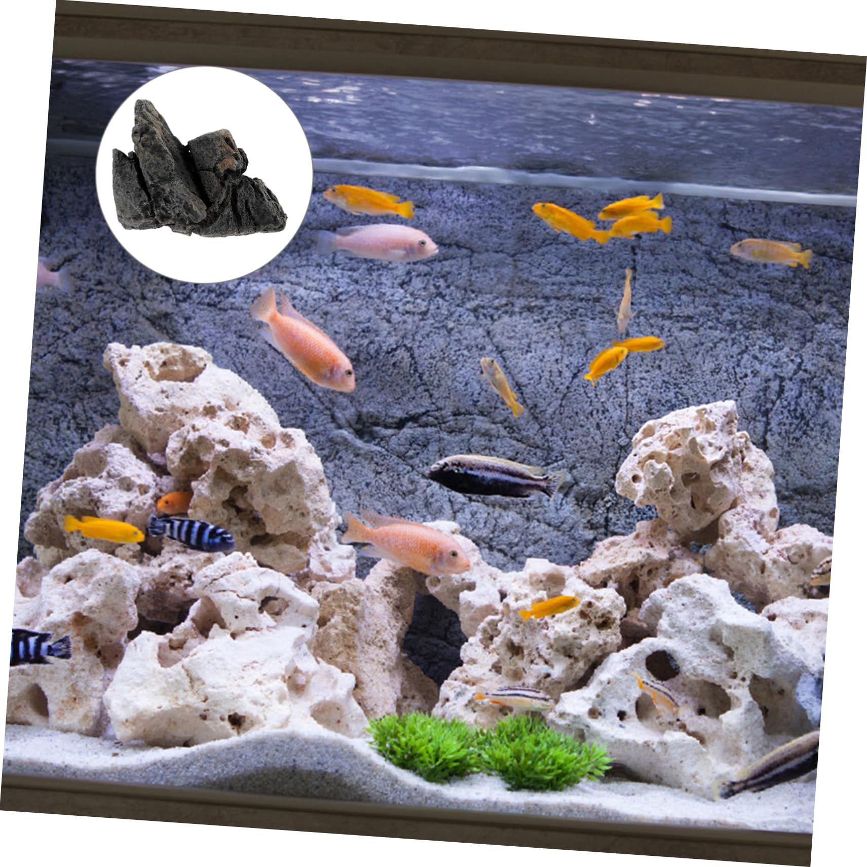 Amazon.co.jp: Angoily 黒樹脂製リアルな石 水族館用石造りの造園装飾