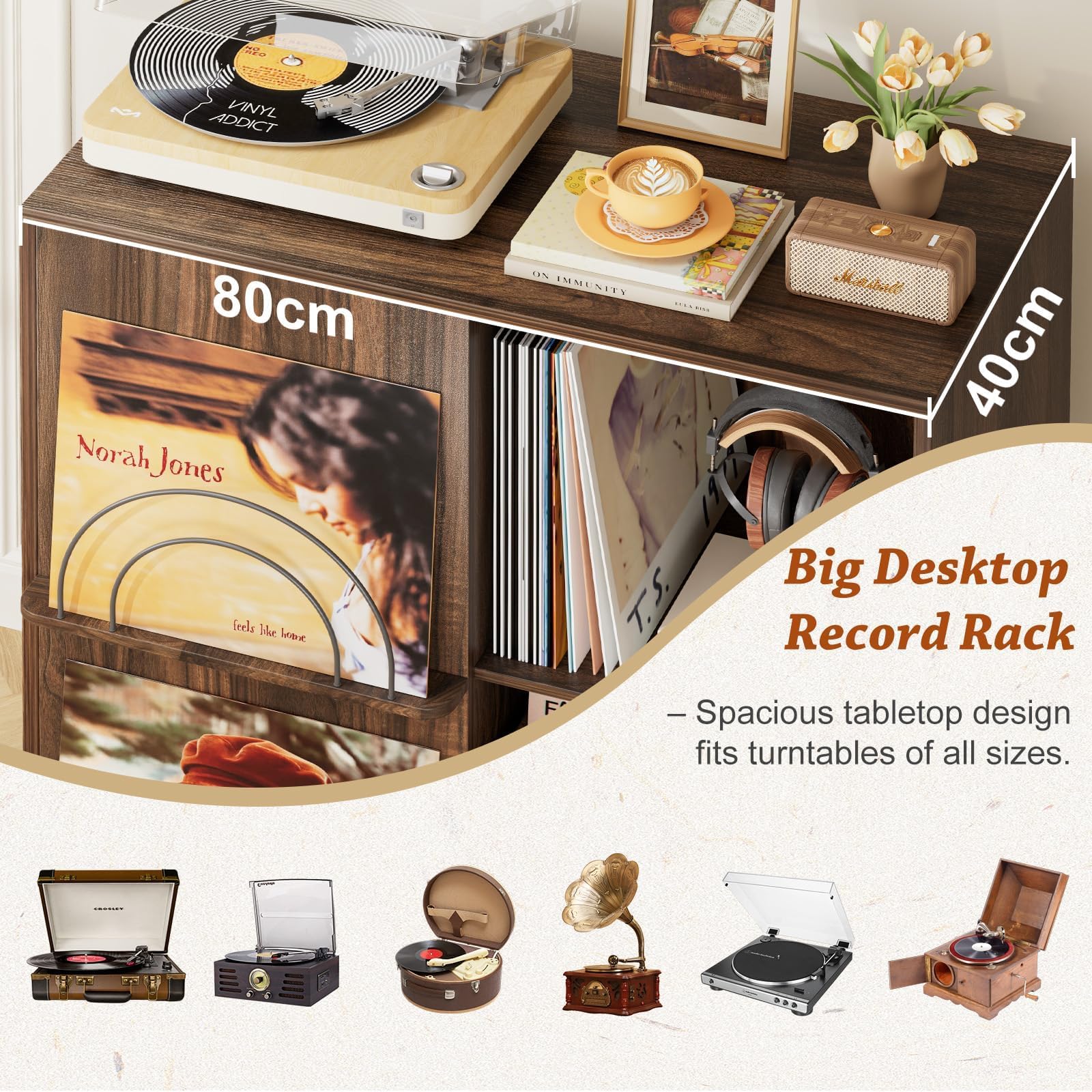 Bikoney Support Platine Vinyle Avec Présentoirs, Meuble Tourne-Disque