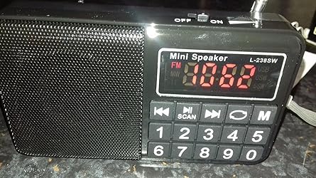 PRUNUS J-429SW Portable Radios Small AM/FM/SW, Rechargeable Radio with ...