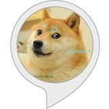 Dogecoin Price