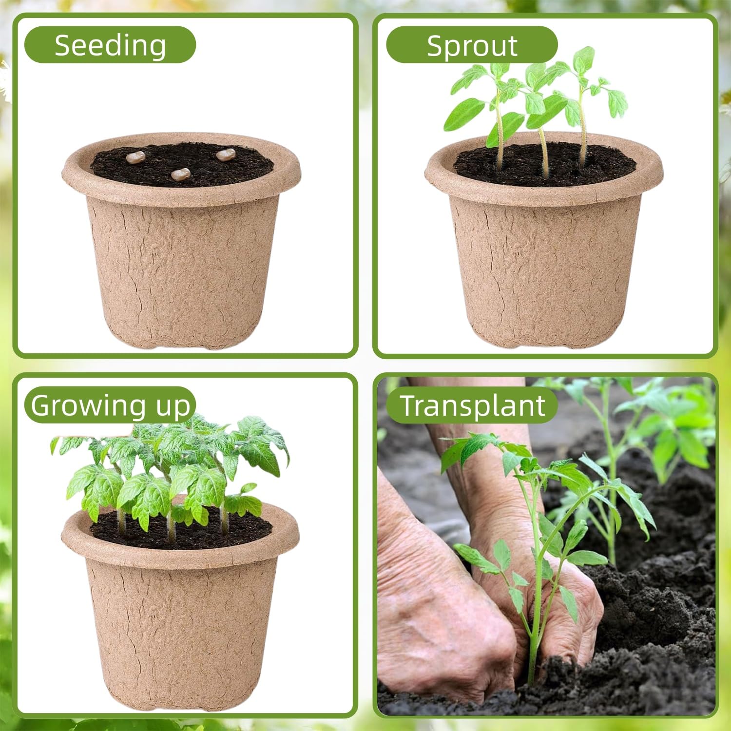 50 Piezas Grande Macetas Biodegradables, 11cm Semilleros de Germinacion, Redondas Macetas con Agujeros de Drenaje, con 1 Botella de Pulverización, para Plantasde de Semillero, Flores, Plantas