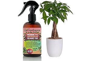 Professional Money Tree Spray Fertilizer Mist for Home Gardening
