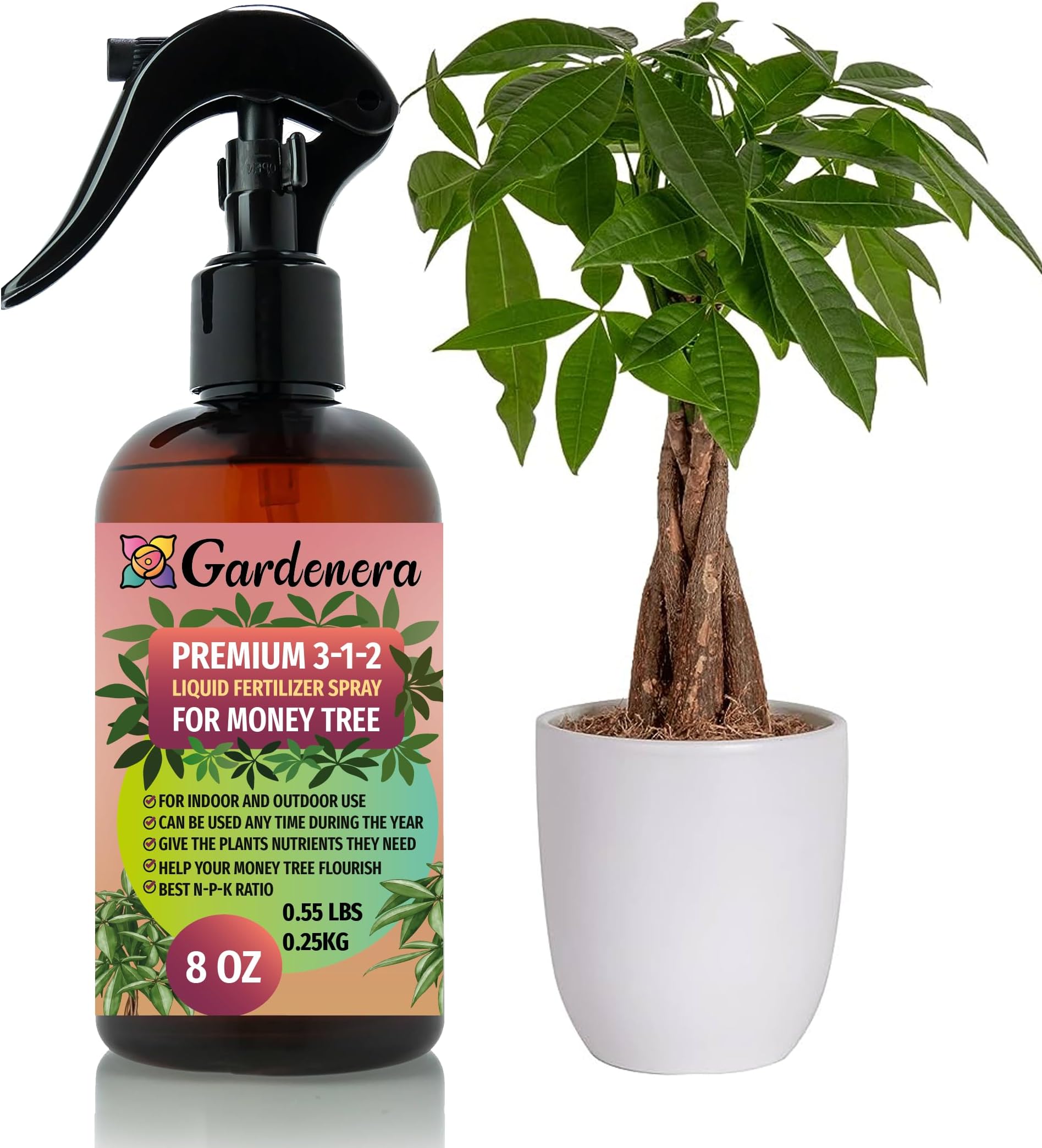 Professional Money Tree Spray Fertilizer Mist for Home Gardening | 3-1-2 Gentle Blend Mist for Healthy Leaves & Growth | Essential Nutrients for Money Tree - 8oz
