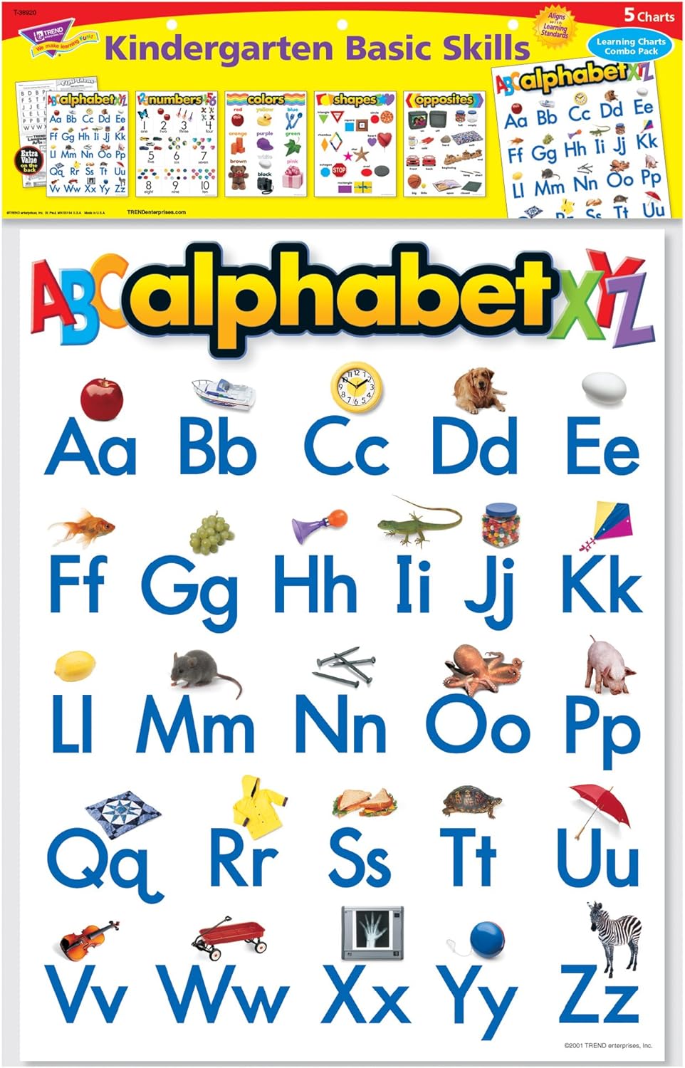 TREND enterprises, Inc. Kindergarten Basic Skills Learning Chts Combo Pk, Set 5, Multi, (T-38920)