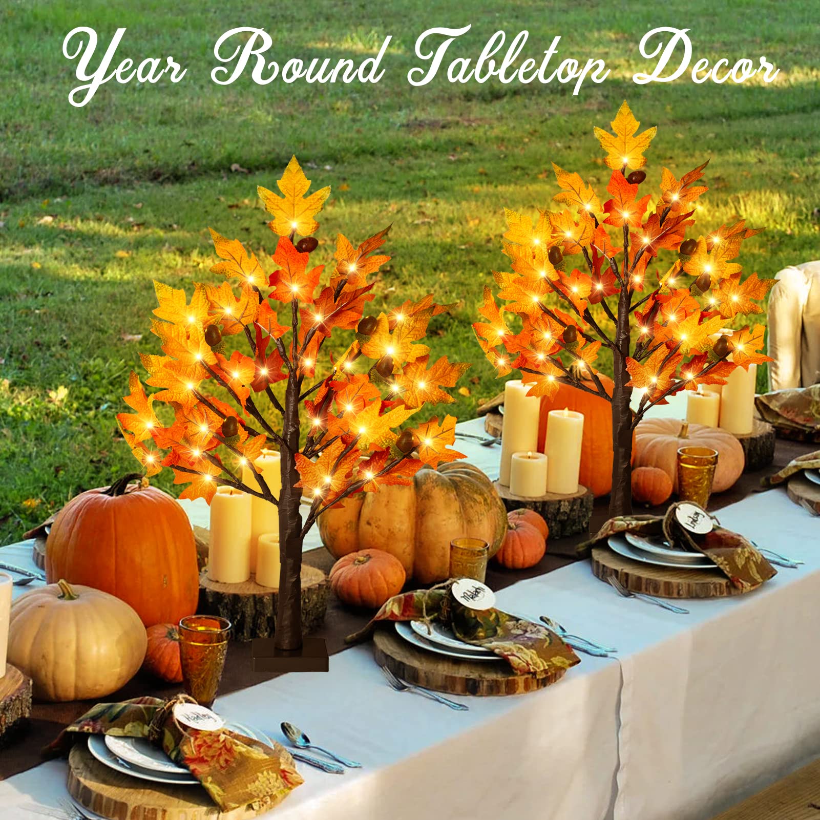 Remon 2Pack Fall Lighted Maple Tree - 2FT 36 LED Thanksgiving Decor Artificial Fall Lights, Battery Operated Tabletop Lamp with 6 Acorns, 6-Hours Timer, for Wedding Party Indoor Outdoor Autumn Decor…