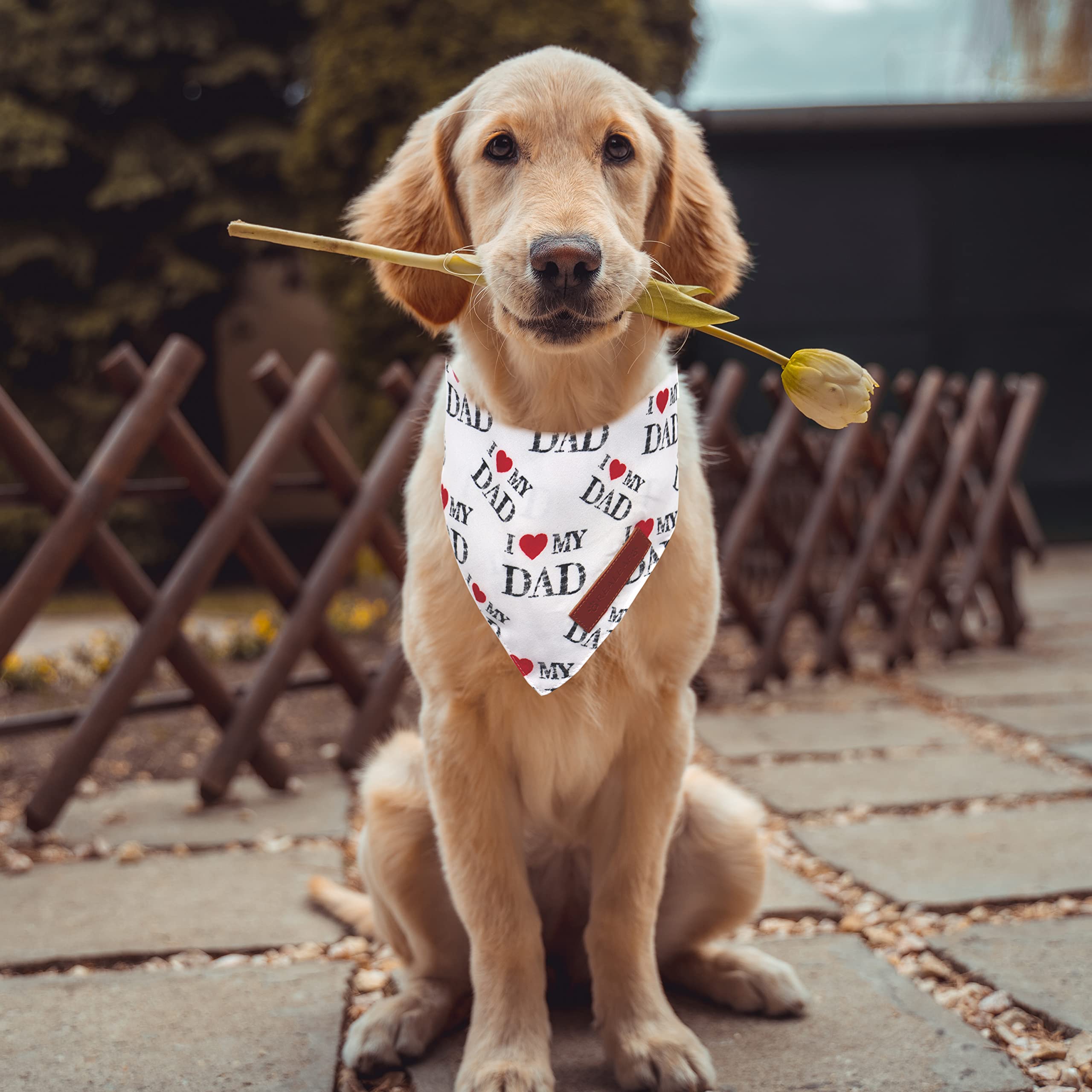 Realeaf Hundehalstücher 2er-Set – Wendbar, Für Kleine Bis Große Hunde, Mit Liebesmotiv