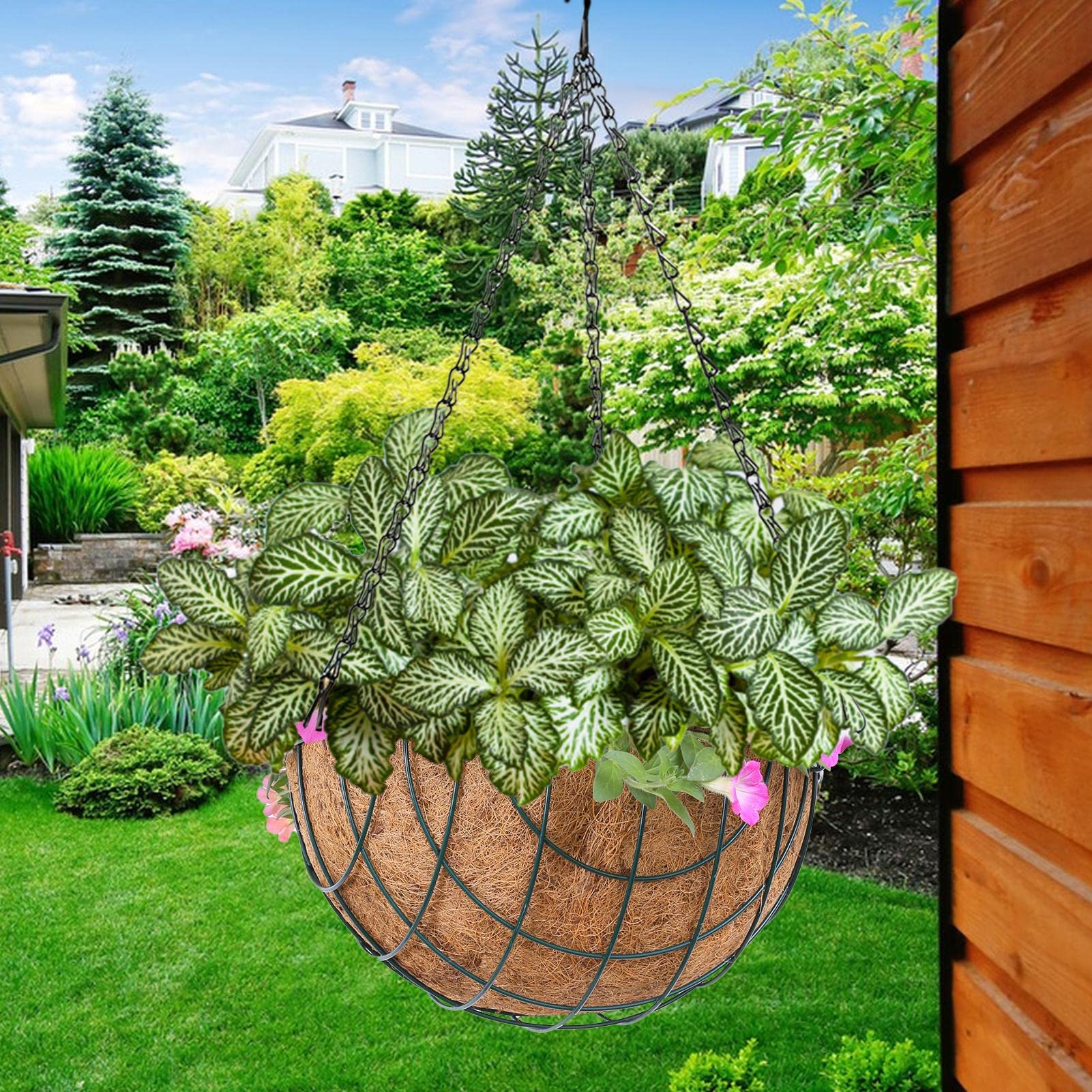 Yonuaret Fioriera sospesa con rivestimento in fibra di cocco, vaso rotondo da appendere, filo di metallo, per piante sospese, per interni ed esterni, giardino