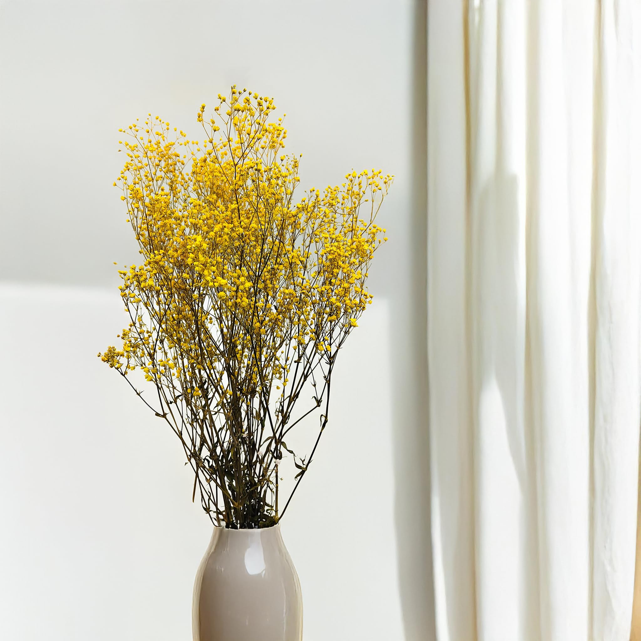 Enchanted Fleurs Séchées, Gypsophile Stabilisée, 120 g, Jaune Pastel