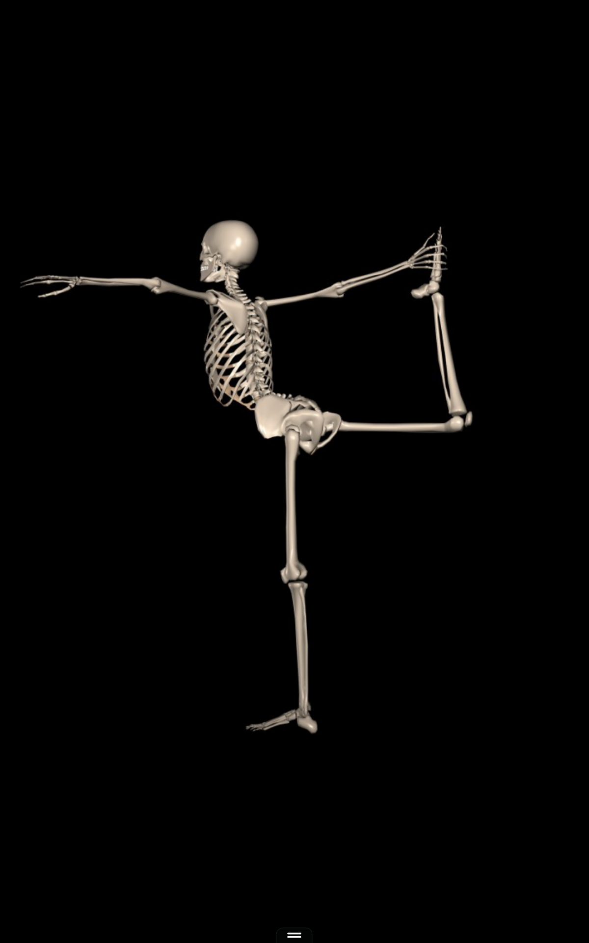360° Anatomy for Artists: Female Yoga - App on Amazon Appstore