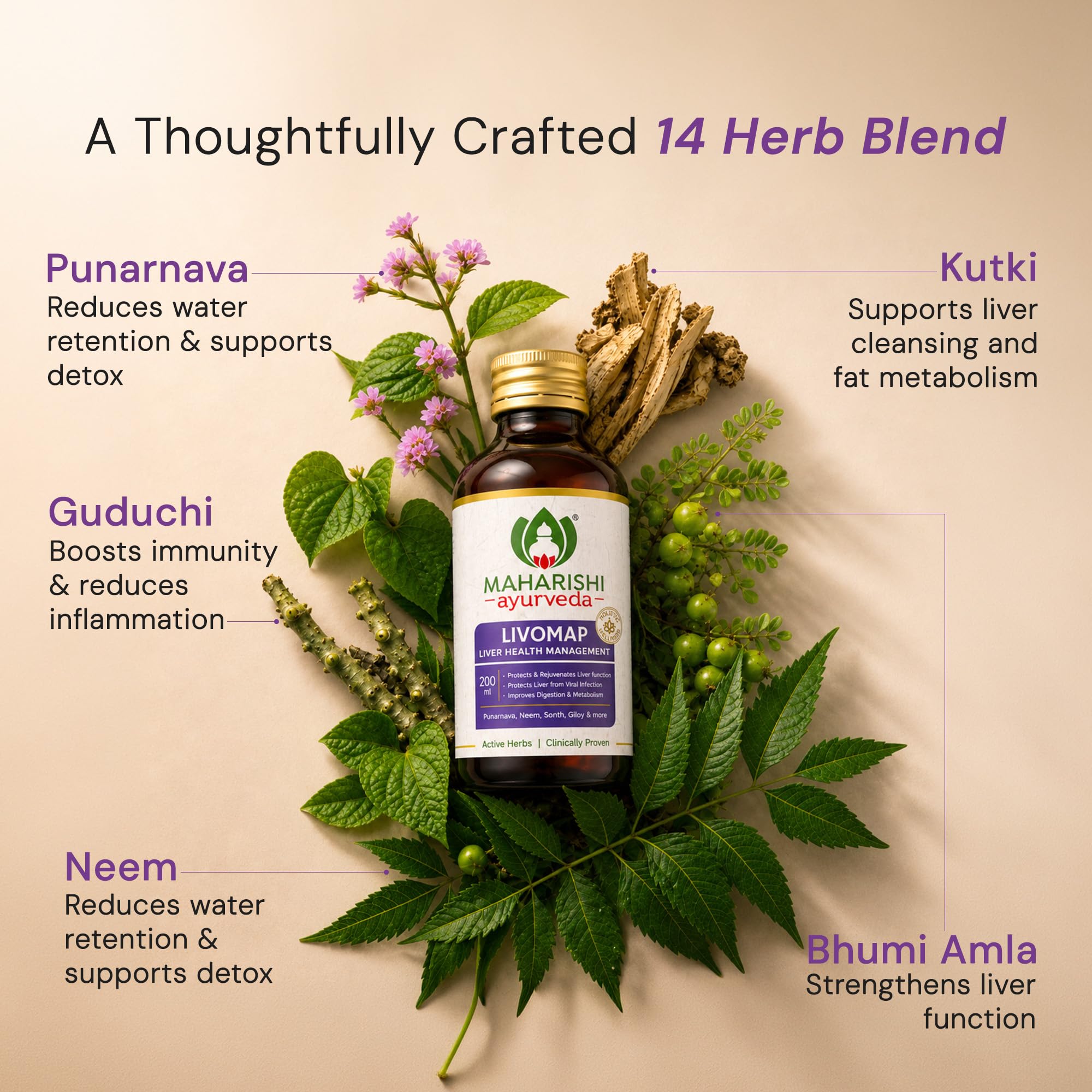 Maharishi Ayurveda Livomap | Liver Care and Liver Detox Supplement tonic | Helps Rejuvenate the Liver Function | Clinically Tested | 200mL — Amazon image 4