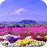 Beautiful Spring Wallpaper 4K