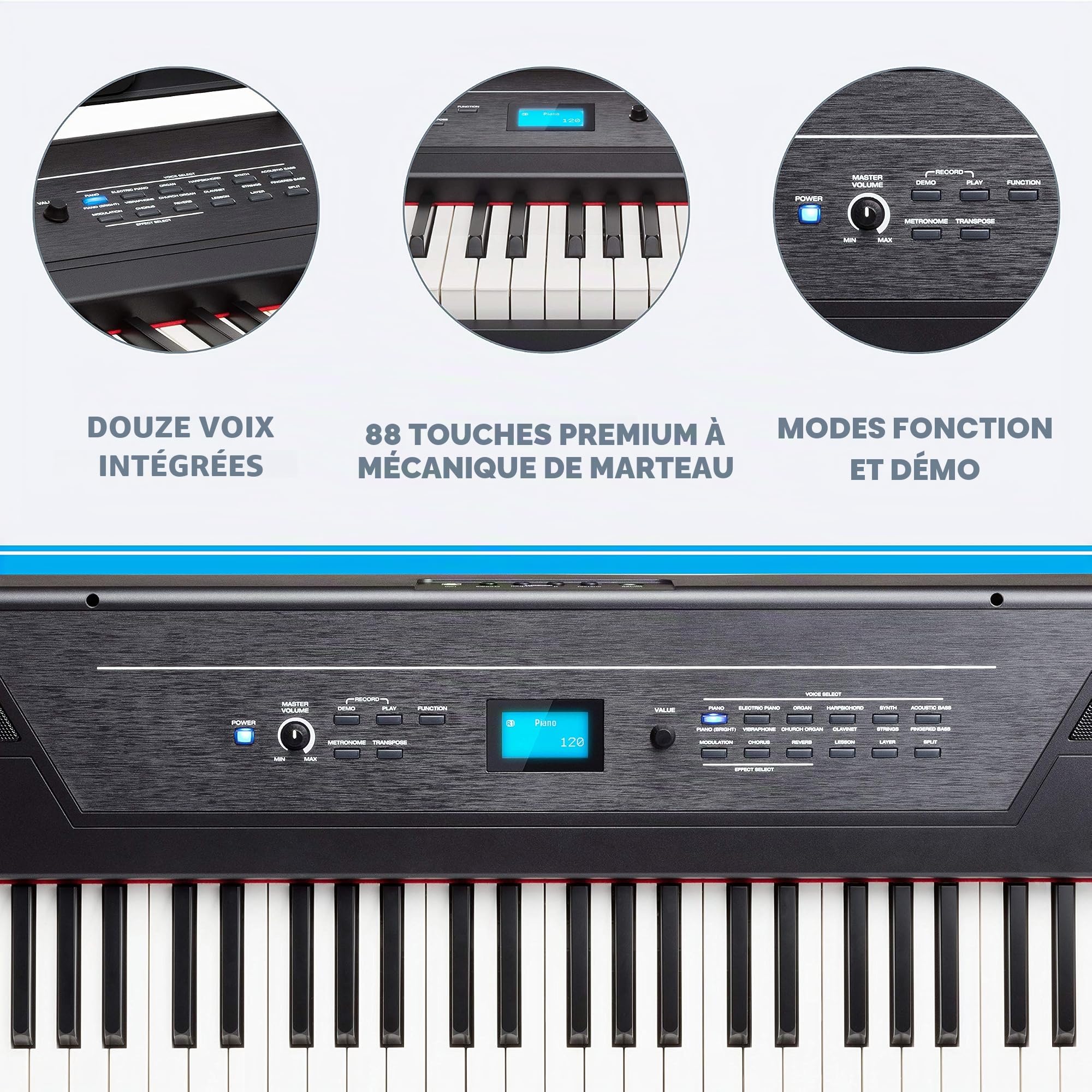 Alesis Recital PRO & M-Audio SP-2 - Piano Numérique avec Un Clavier de 88 Touches à Mécanique de Marteau & Pédale de Sustain Universelle de Type Piano pour des Claviers Électroniques
