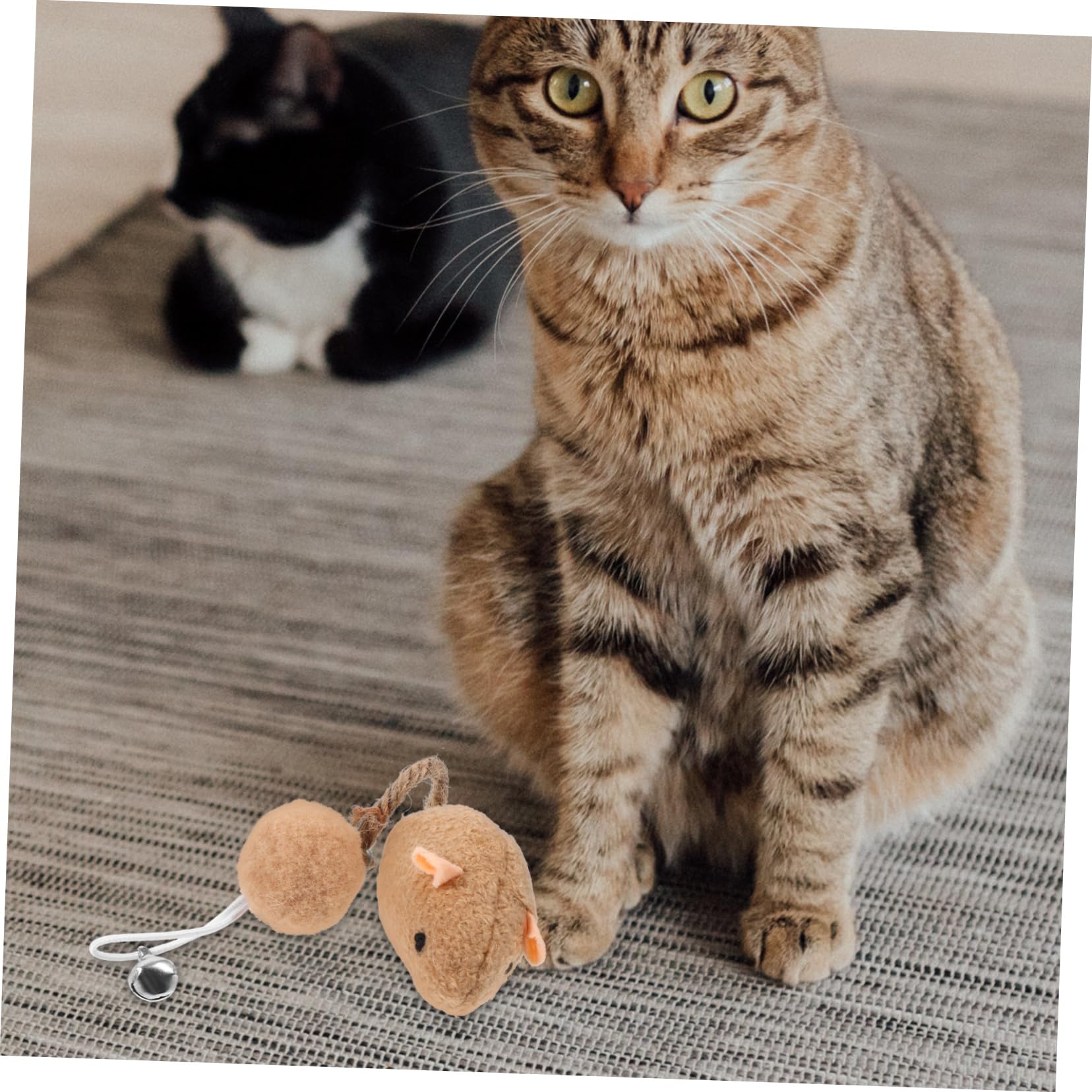 Lot De 6 Jouets Interactifs pour Chat Souris avec Clochette Réutilisables Robustes pour Gratter Mordre