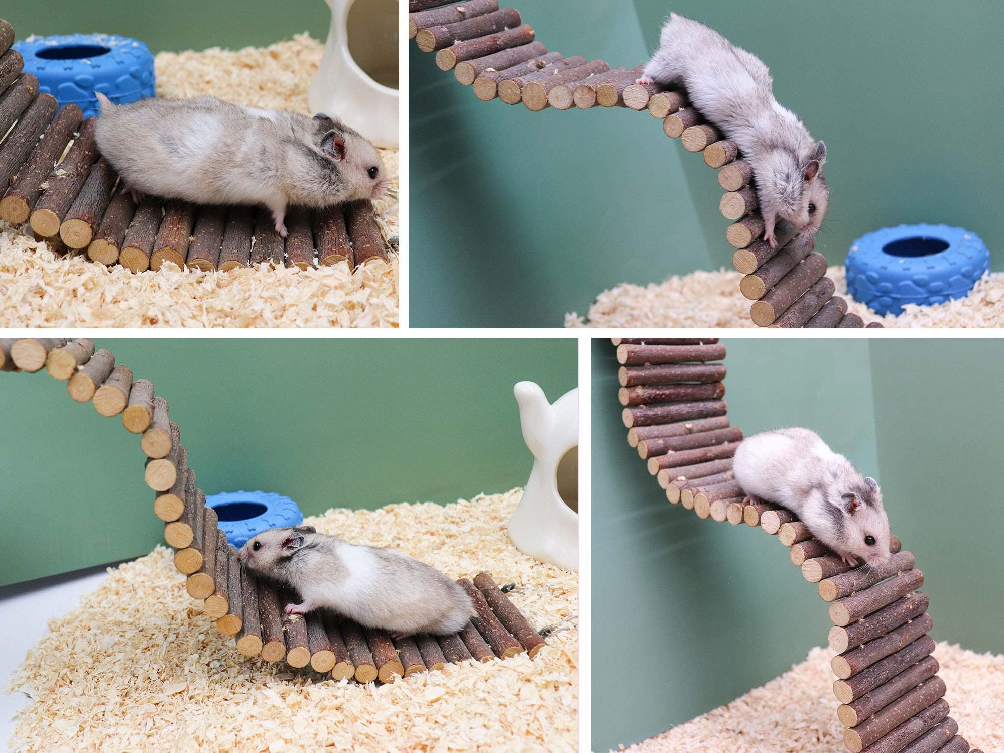Puente de escalera de rata, juguete de escalera de madera para hámster, accesorios de jaula de animales pequeños para pájaros, loros, hámster, rata, deslizador de azúcar, cangrejo ermitaño, chinchilla