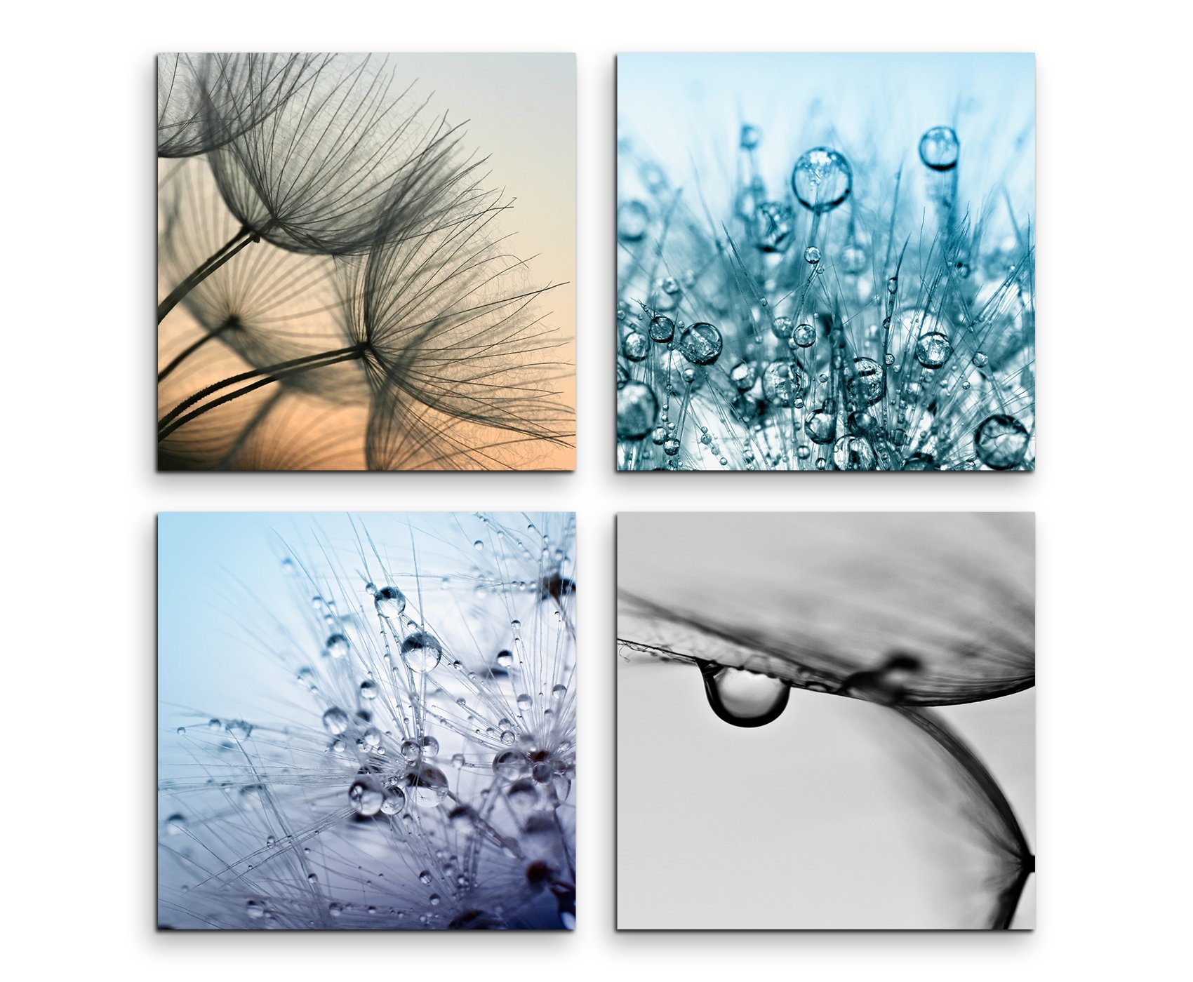 Paul Sinus Art Bilderserie – 6 Leinwandbilder Je 20x20 Cm, Pusteblume & Wassertropfen Makro