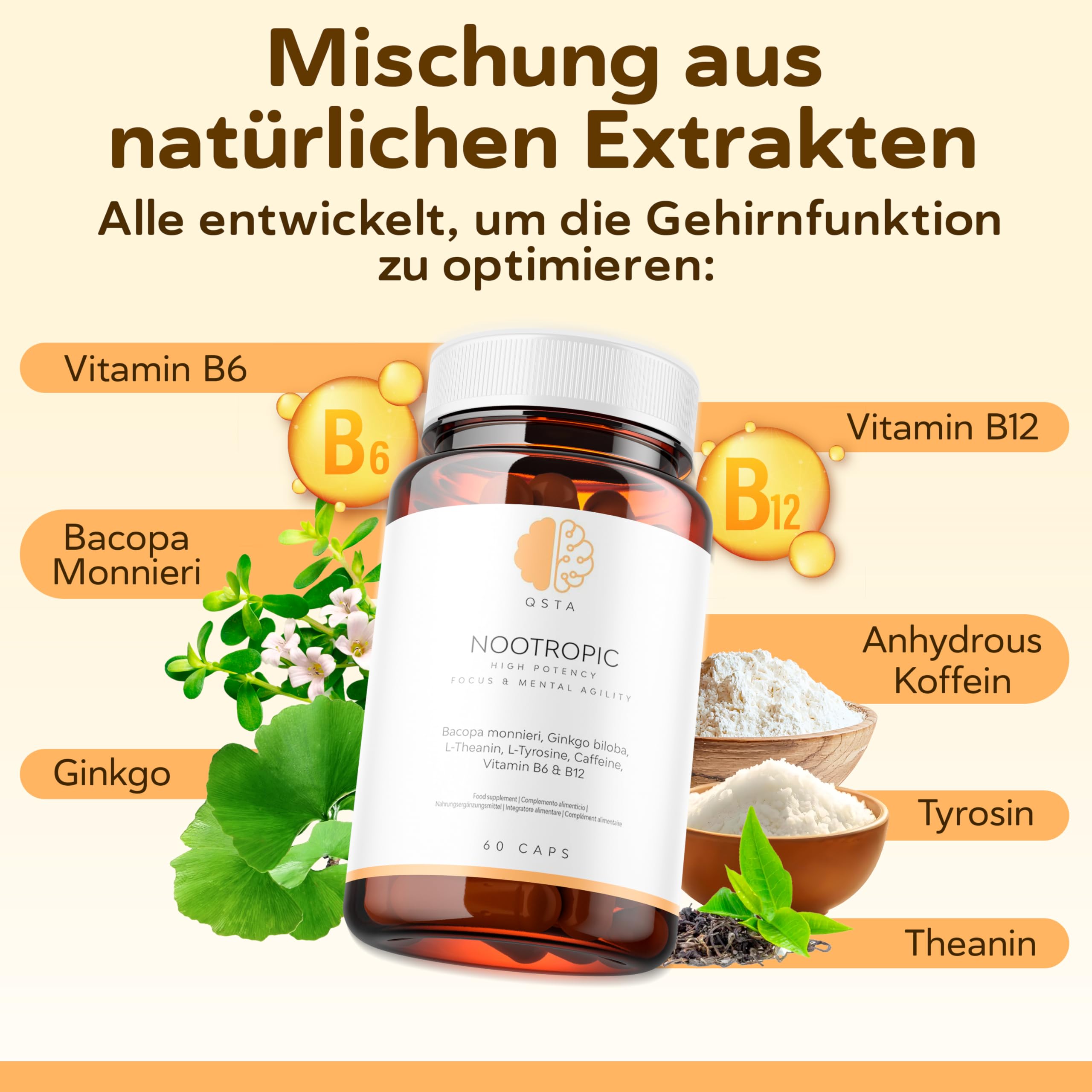 Nootropic – Fortschrittliche Formel zur Kognitiven Unterstützung mit Bacopa, Ginkgo, Tyrosin, Theanin, Koffein, B6 & B12