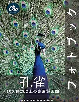 コブクロ 写真集 フォトブック ツアーパンフレットなど 9冊 コブクロ 写真集 フォトブック ツアーパンフレットなど 9冊