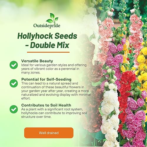 Miniatura 3 de Outsidepride Alcea Rosea Hollyhock - Mezcla de plantas trepadoras de flores de jardín doble - 100 semillas