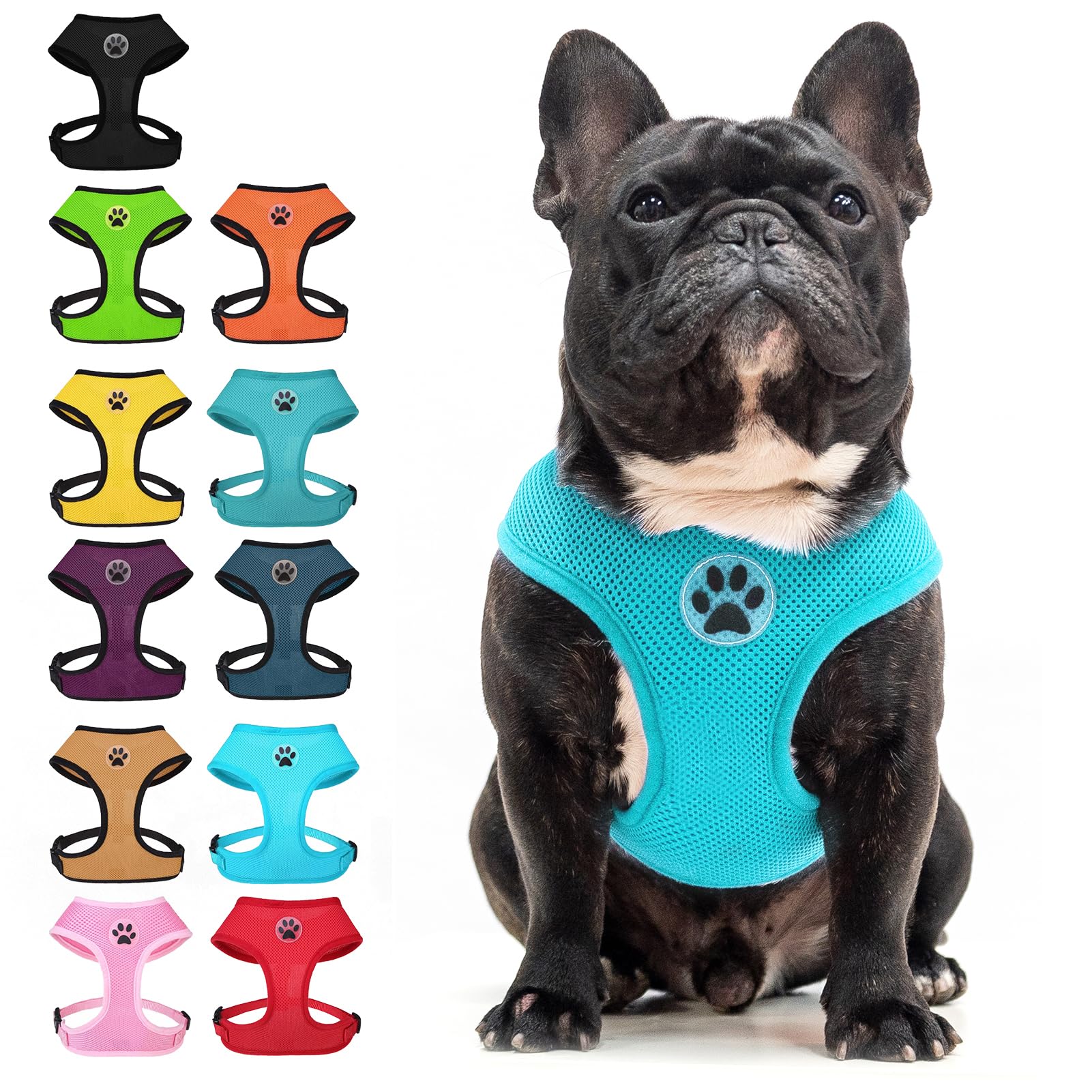 BINGPET Small Dog Harness, No Pull Dog Harness Small Sized Dogs, Soft Light Breathable Mesh Puppy Vest with Safety Buckle-Adjustable Step in Pet